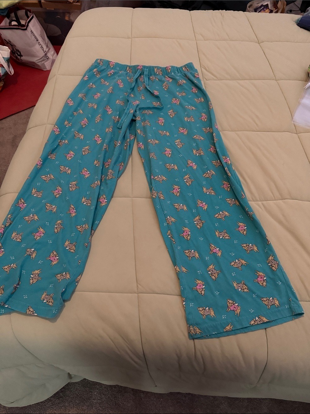 0166 Joe Boxer Teal Lounge Pants with Playful Pugs XL